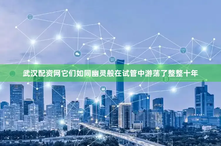 武汉配资网它们如同幽灵般在试管中游荡了整整十年
